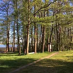Irene Am Inselsee * Muhl Rosin