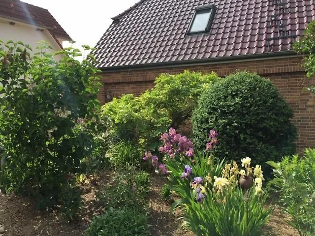 Irene Am Inselsee * Muhl Rosin